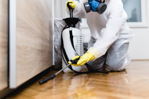 Professional Pest Control in Jupiter Farms, FL