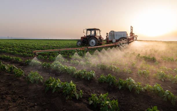 Best Mosquito Control Services  in Jupiter Farms, FL