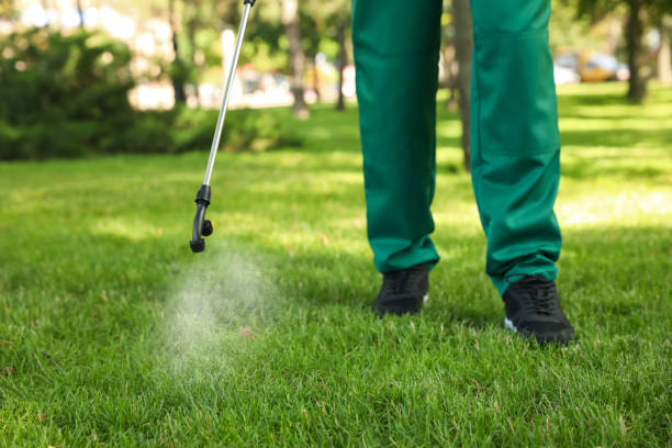 Best Termite Control Services  in Jupiter Farms, FL