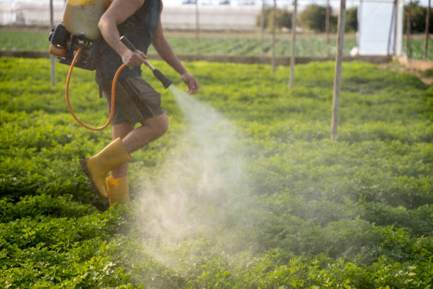 Pest Control for Restaurants in Jupiter Farms, FL