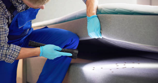 Best Pest Control Near Me in Jupiter Farms, FL